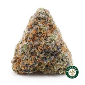 Value Buds