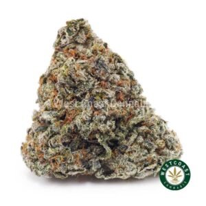 Blackberry Kush AAA