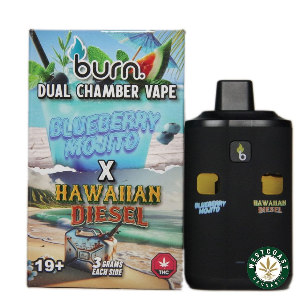 Burn Extracts – Dual Chamber Disposable Vape – Blueberry Mojito + Hawaiian Diesel (3+3 Gram)