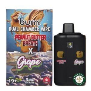 Burn Extracts – Dual Chamber Disposable Vape – Peanut Butter Breath + Grape (3+3 Gram)