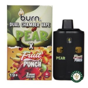 Burn Extracts – Dual Chamber Disposable Vape – Pear + Fruit Punch (3+3 Gram)