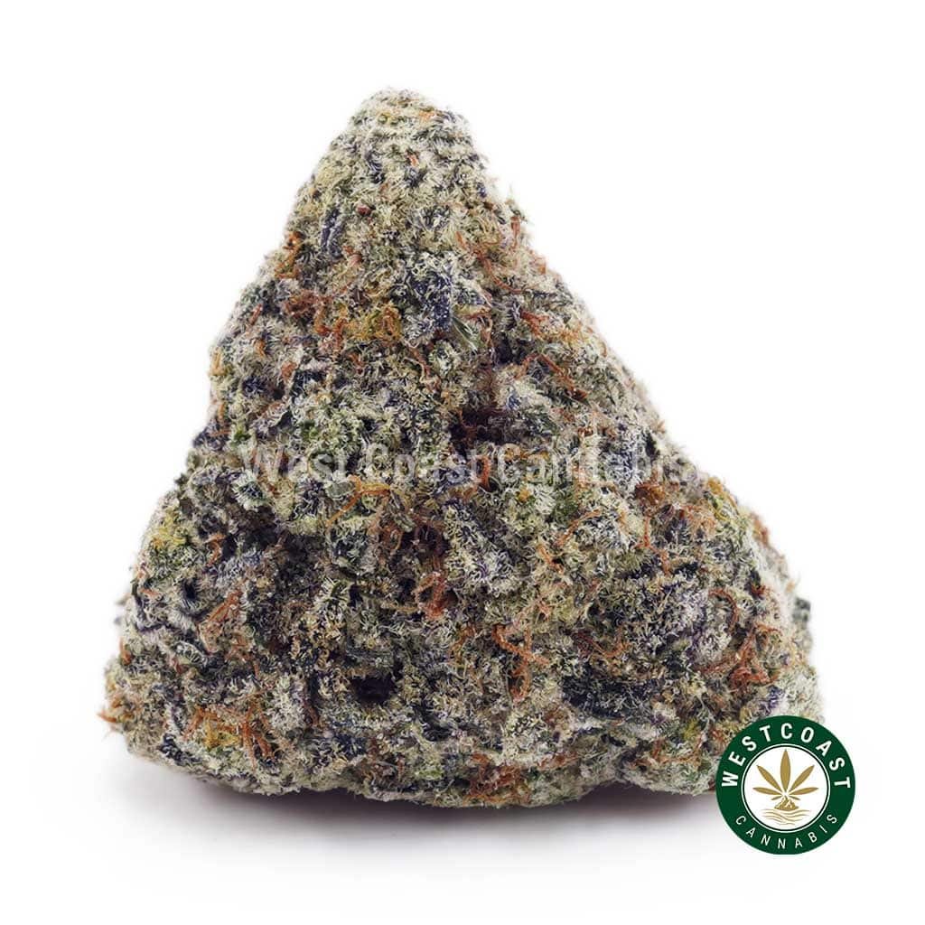 Cosmic Cookies AAAA