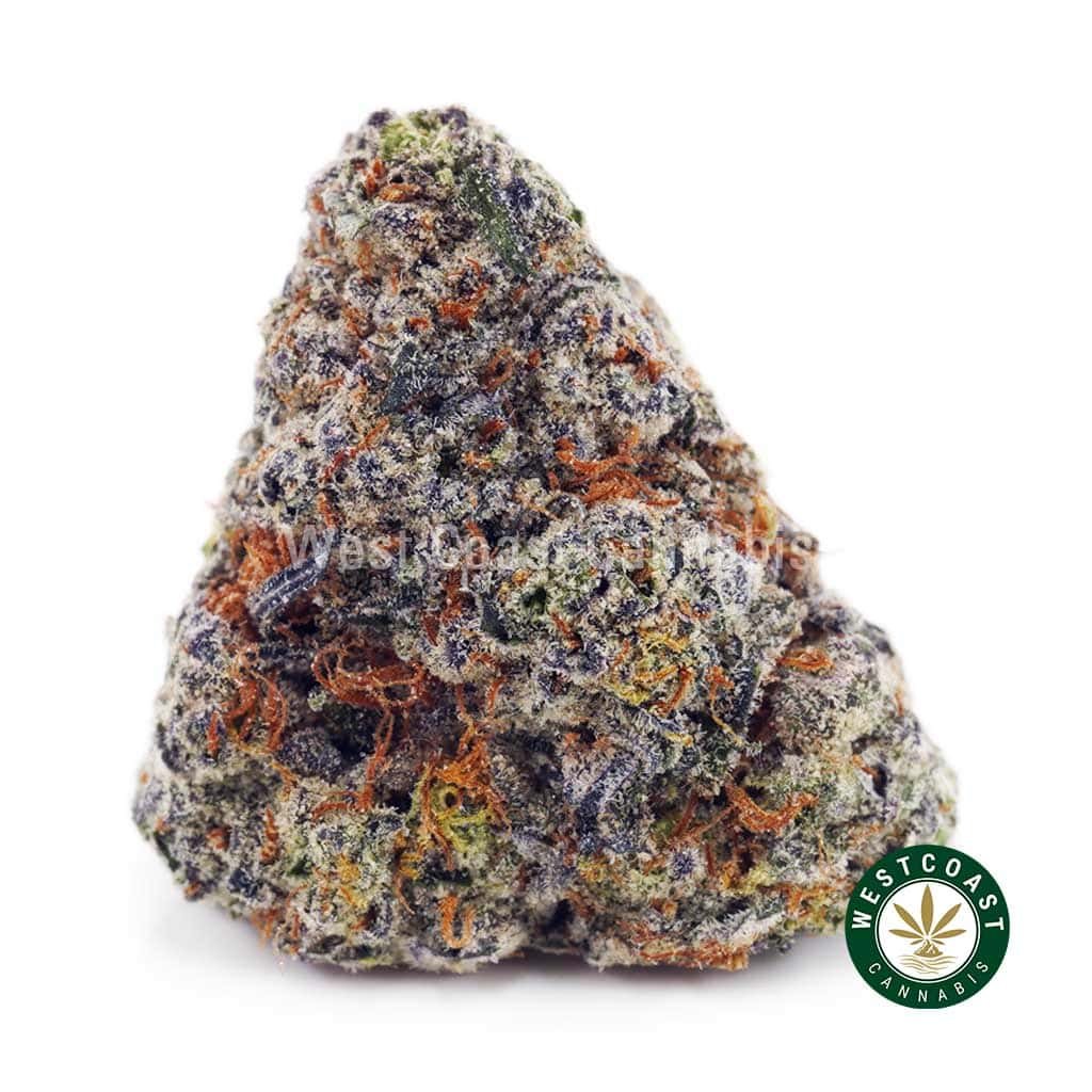 Cotton Candy Kush AAAA