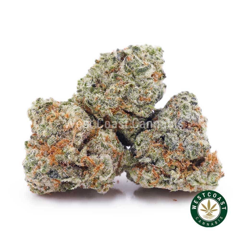 Fortune Cookies AAAA (Popcorn Nugs)