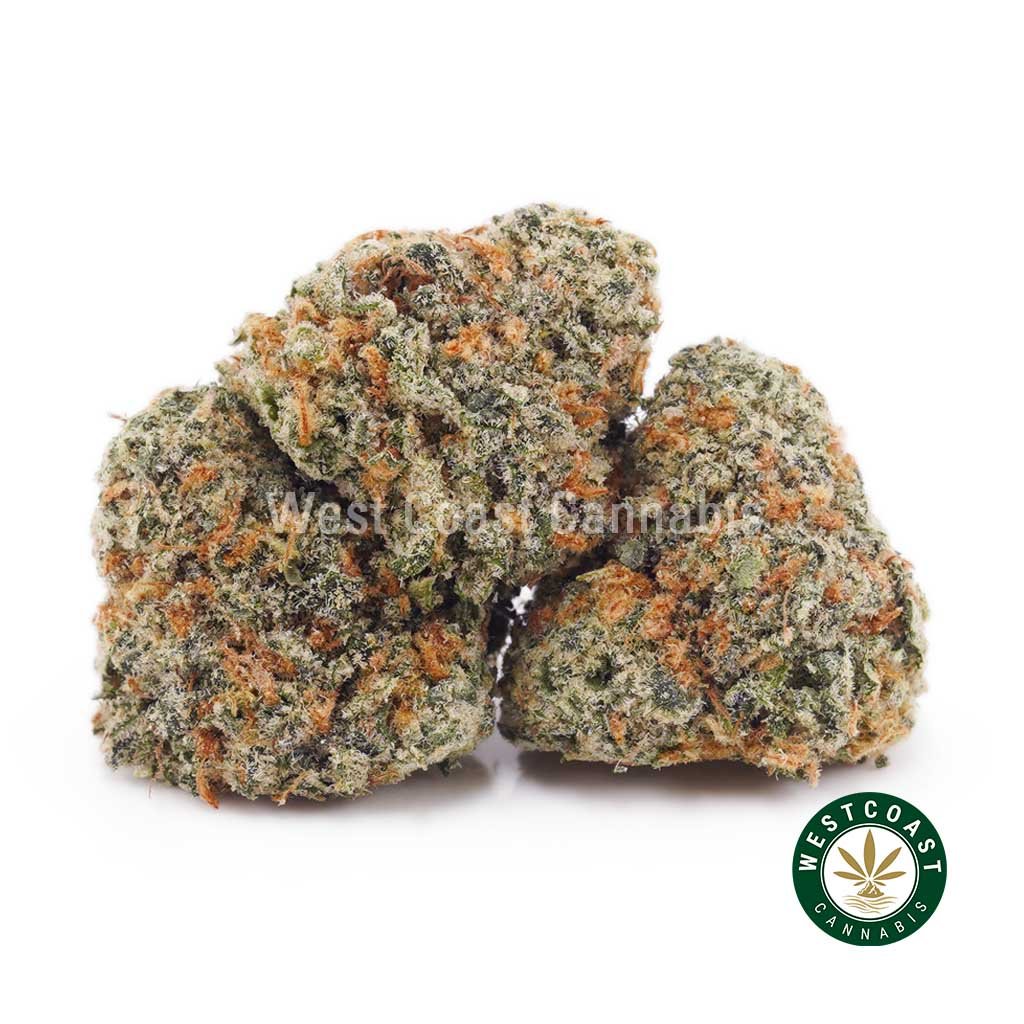 Frosted Fruit Cake AAAA (Popcorn Nugs)
