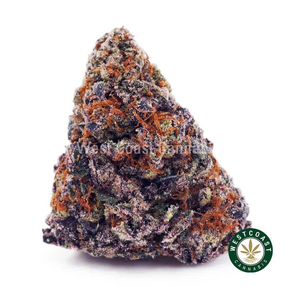 LA Confidential AAAA