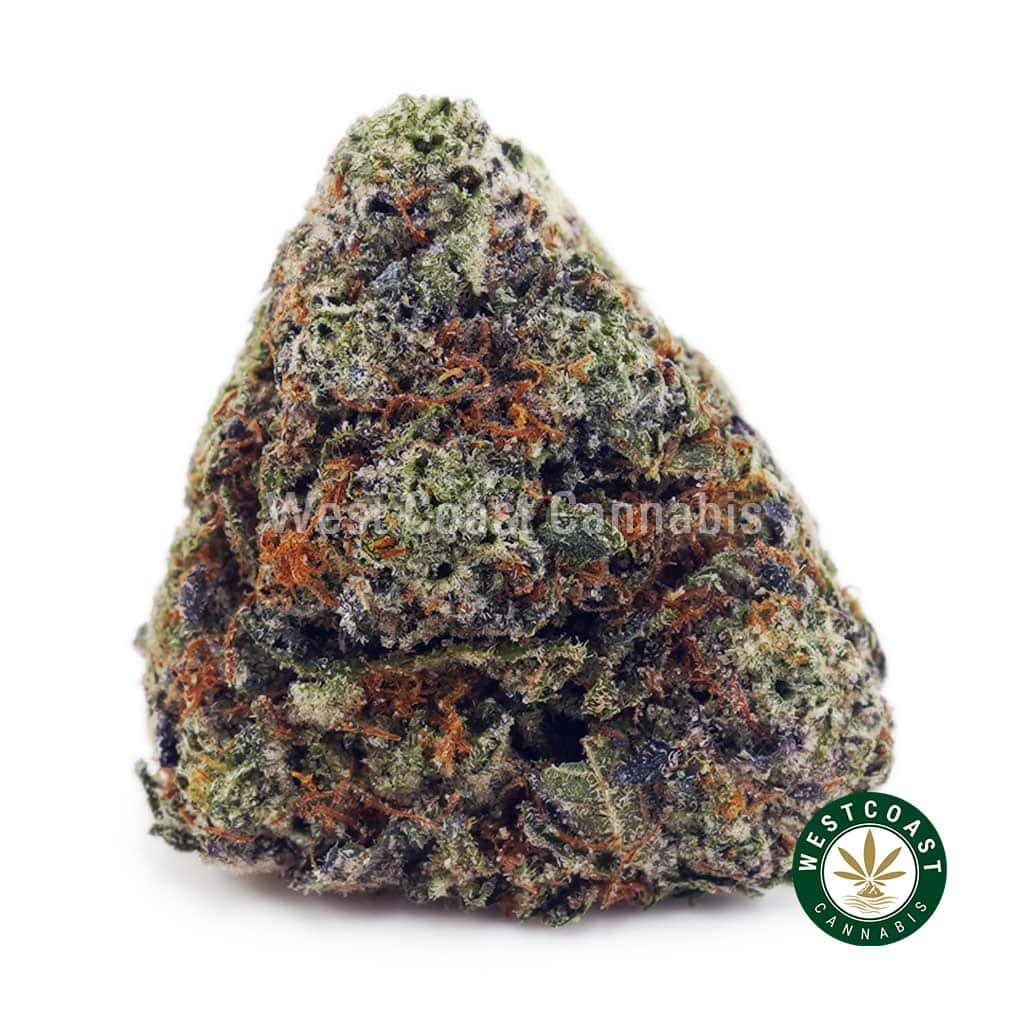 Platinum Rockstar AAAA