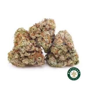 Sunset Sherbet AAAA (Popcorn Nugs)
