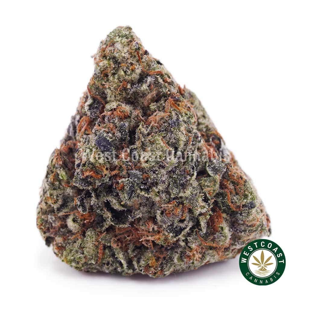 Tuna Kush AAAA
