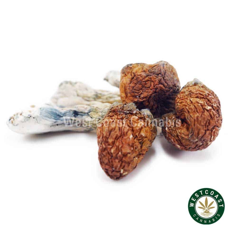 Shrooms – Jedi Mind Fuck