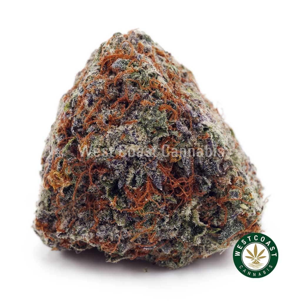 Supreme Grape God AAAA+