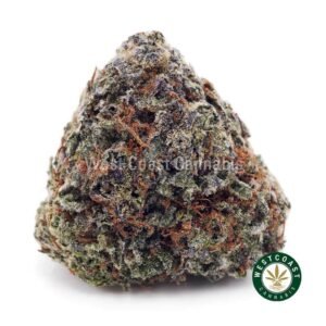 Amnesia Haze AAAA