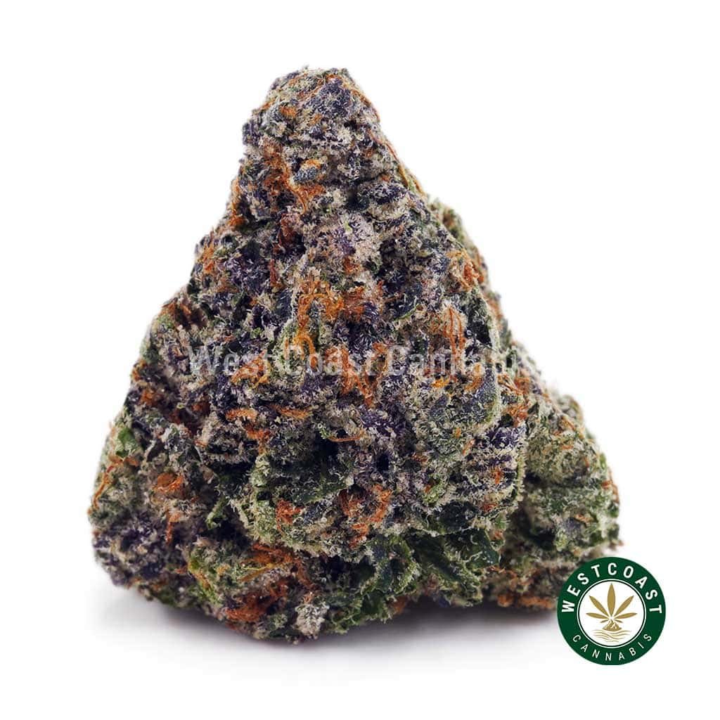 Pink Tuna AAAA