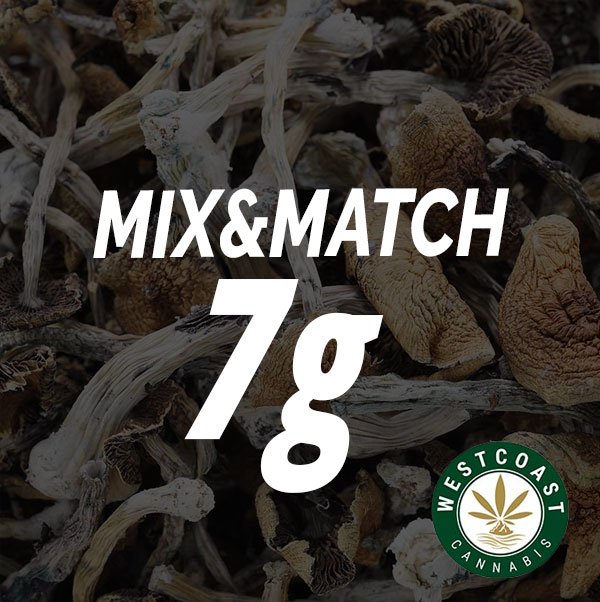 Shroom – Mix and Match 7g